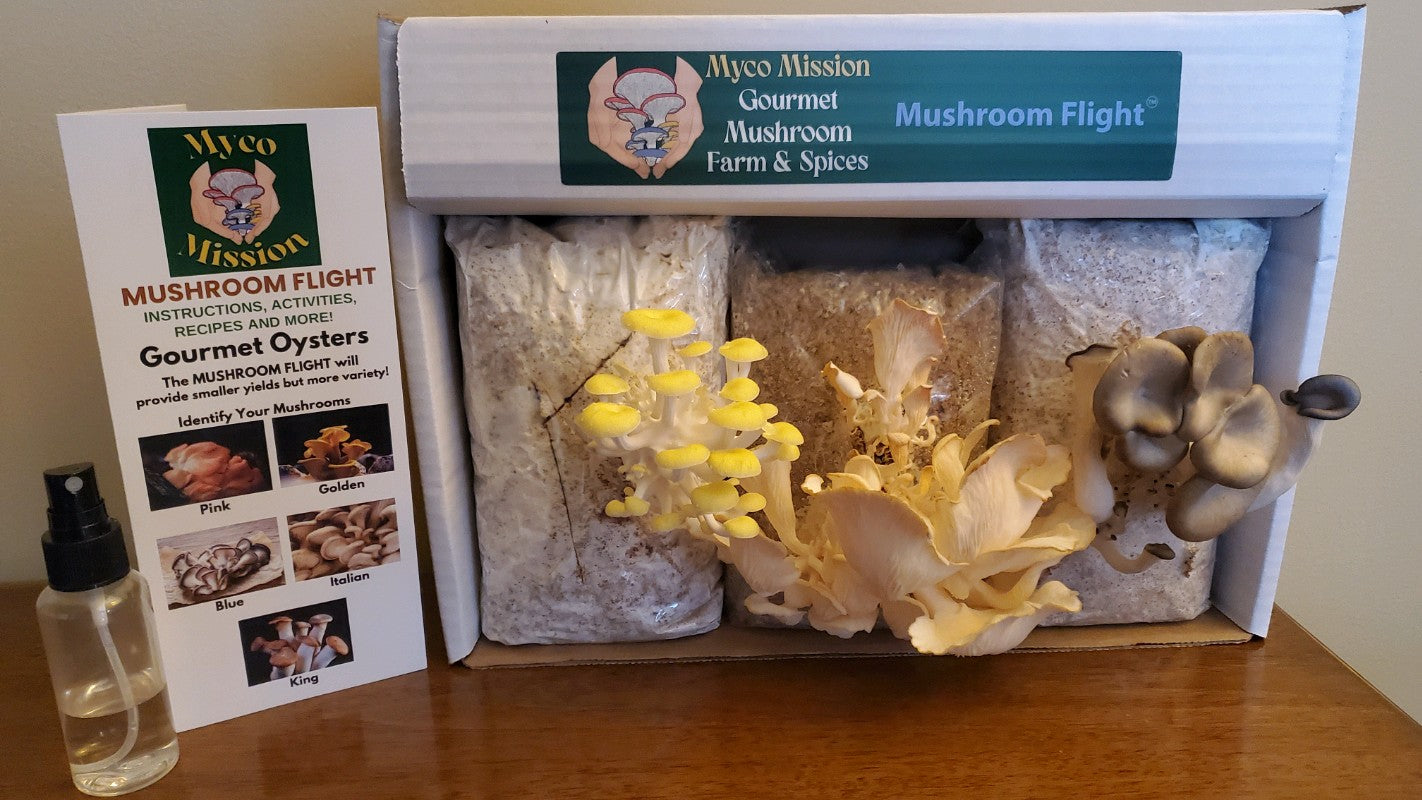 Oyster Mushroom Flight™ Grow Kit